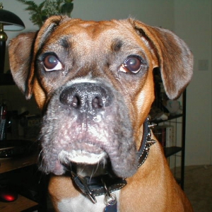 Karma (10/21/2004)