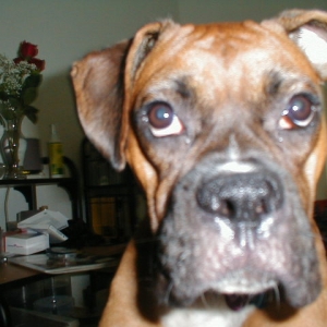 Karma (10/21/2004)