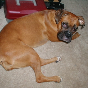 Karma (10/21/2004)