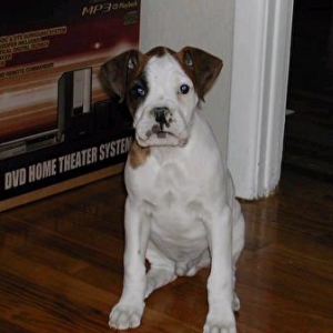 Phiki 2 and a half months