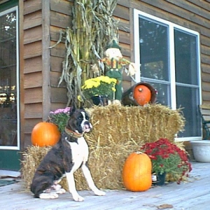 Kyser 1yr-4mos