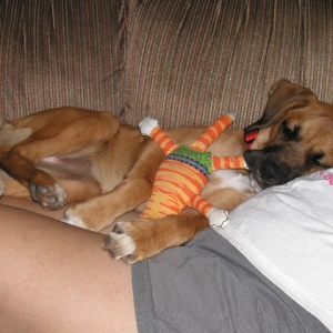 ZzzzzZzzzz...