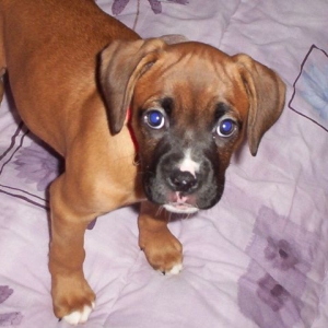 1st Day Home