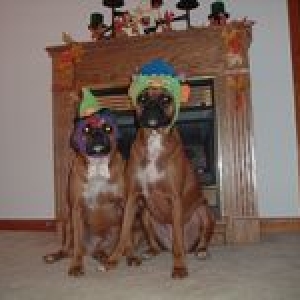 Halloween 2004