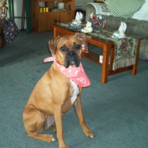lady lexis
