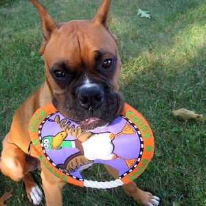 Please Play With Me