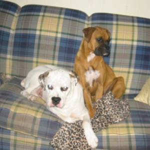 2 tired brats!!
