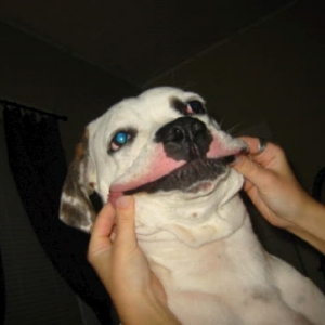 Smiley!
