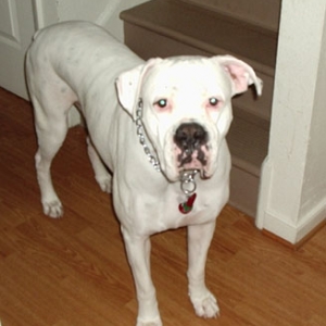 My boy Zeus