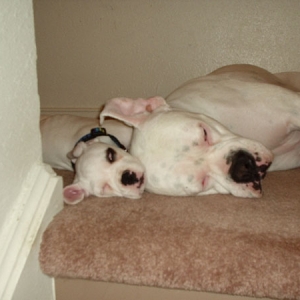 Sleepy heads