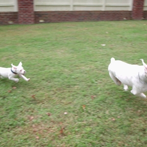 Catch me if you can !!
