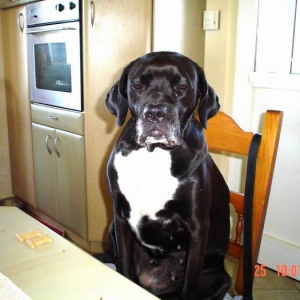 Please mom bring me another chair and let me sleep!