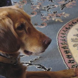 Baby Irma posing for me!