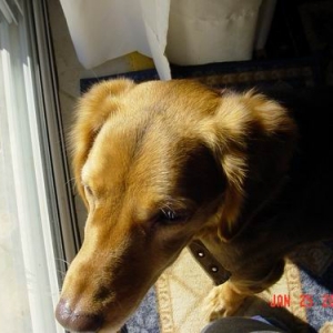 Ok I haven't gor big Flews...