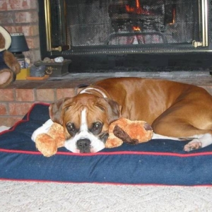 Ali by the fireplace