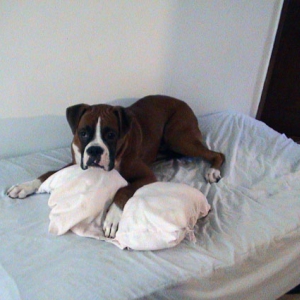 My pillow