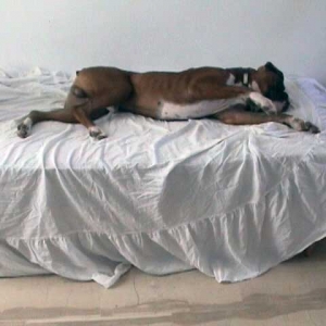 let me sleep...