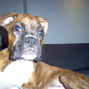 Big girl @14 wks