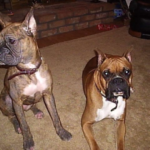 Roxy and Ozzy