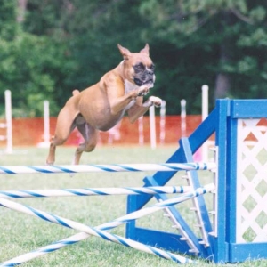I can fly!