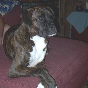 Coco chillin'