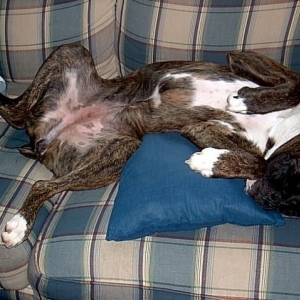 Silly Sleepy girl!