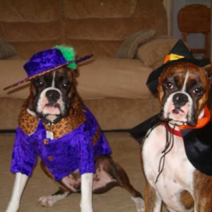 Ok . . . Where's the candy????