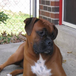 Oscar.