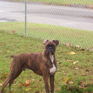 My_boy_Boo
