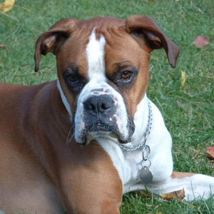 Look at That Cute Face