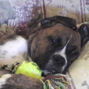 CASSIUS-SLEEPING BABY