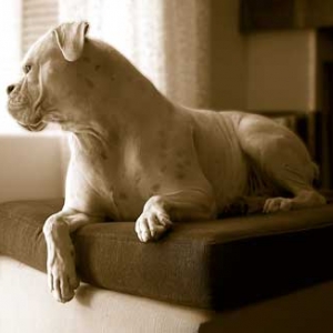I want to go for a walk