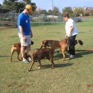 N.Atlanta bash Halloween