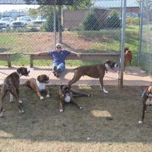 n atlanta bash halloween