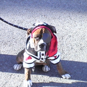 CASSIUS-HALLOWEEN 2004