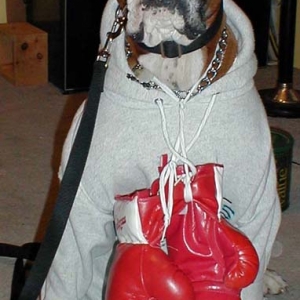 Halloween '04