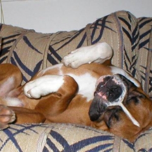 Comfort