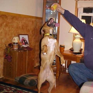 Just give it to me!