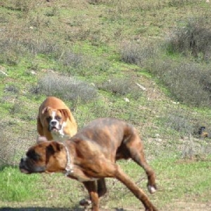 And the race begins