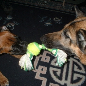 Tug of war