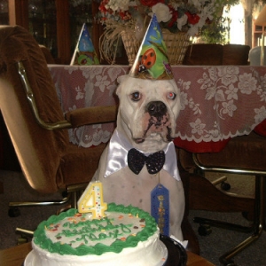 Maxes 4th B-day