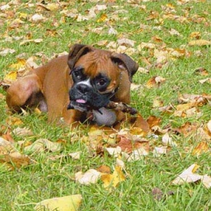 It's yummy mommy!
