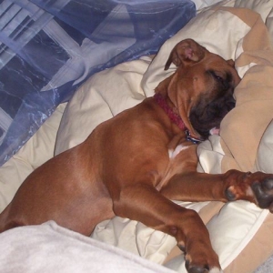 Whew am I tired!