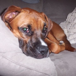 Snuggling on the couch