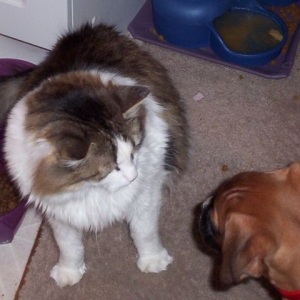 Riley and her sister Macy