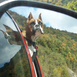 Sightseeing