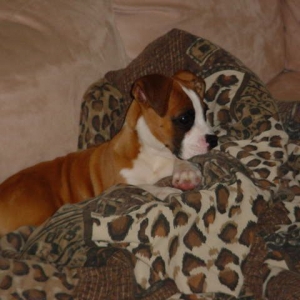 Hanging out on the couch