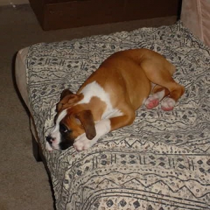 On the other side of the couch