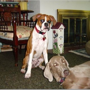 Lucy and Bryce