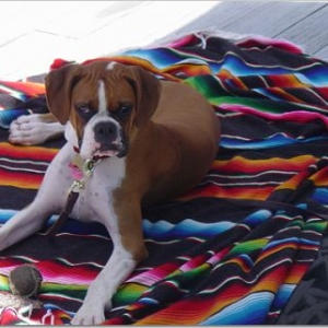 Lucy hanging out
